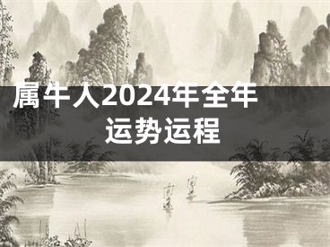 属牛人2024年全年运势运程