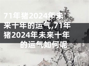 71年猪2024年未来十年的运气,71年猪2024年未来十年的运气如何呢