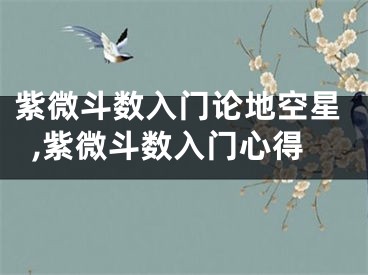 紫微斗数入门论地空星,紫微斗数入门心得