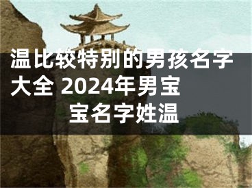 温比较特别的男孩名字大全 2024年男宝宝名字姓温