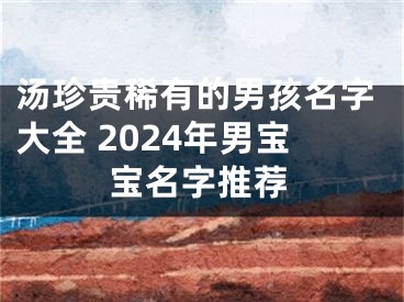 汤珍贵稀有的男孩名字大全 2024年男宝宝名字推荐