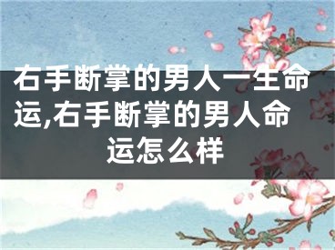 右手断掌的男人一生命运,右手断掌的男人命运怎么样