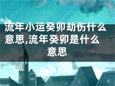 流年小运癸卯劫伤什么意思,流年癸卯是什么意思