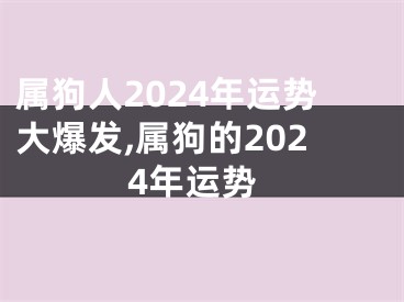 属狗人2024年运势大爆发,属狗的2024年运势