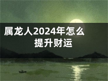 属龙人2024年怎么提升财运