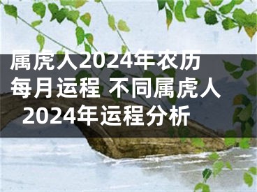属虎人2024年农历每月运程 不同属虎人2024年运程分析