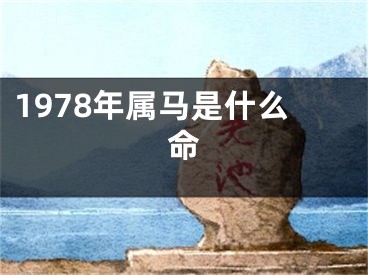 1978年属马是什么命