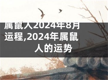 属鼠人2024年8月运程,2024年属鼠人的运势