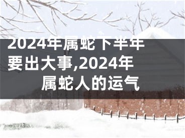 2024年属蛇下半年要出大事,2024年属蛇人的运气