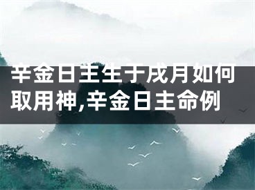 辛金日主生于戌月如何取用神,辛金日主命例