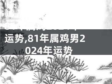 81年属鸡2024年运势,81年属鸡男2024年运势