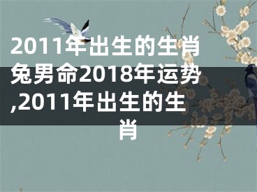 2011年出生的生肖兔男命2018年运势,2011年出生的生肖