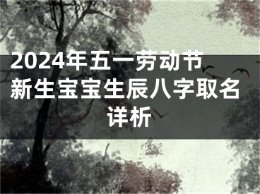 2024年五一劳动节新生宝宝生辰八字取名详析