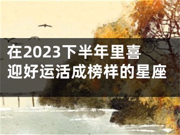 在2023下半年里喜迎好运活成榜样的星座