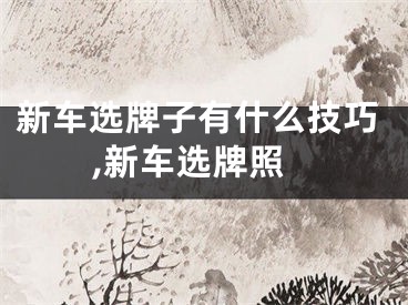 新车选牌子有什么技巧,新车选牌照