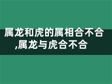 属龙和虎的属相合不合,属龙与虎合不合