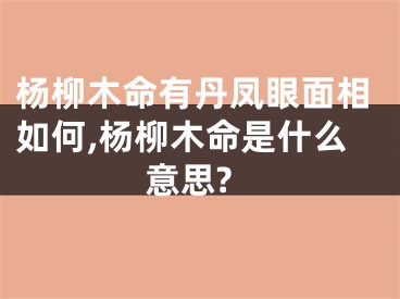 杨柳木命有丹凤眼面相如何,杨柳木命是什么意思?