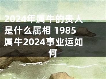2024年属牛的贵人是什么属相 1985属牛2024事业运如何