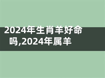 2024年生肖羊好命吗,2024年属羊