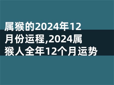 属猴的2024年12月份运程,2024属猴人全年12个月运势