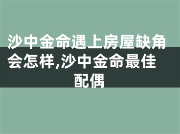 沙中金命遇上房屋缺角会怎样,沙中金命最佳配偶