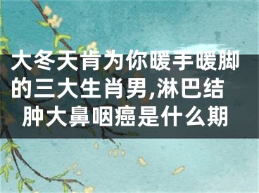 大冬天肯为你暖手暖脚的三大生肖男,淋巴结肿大鼻咽癌是什么期