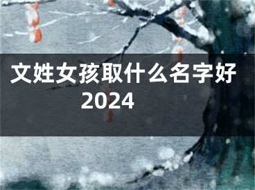 文姓女孩取什么名字好2024