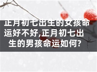 正月初七出生的女孩命运好不好,正月初七出生的男孩命运如何?