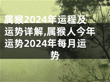 属猴2024年运程及运势详解,属猴人今年运势2024年每月运势