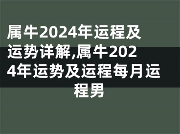 属牛2024年运程及运势详解,属牛2024年运势及运程每月运程男