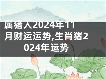 属猪人2024年11月财运运势,生肖猪2024年运势