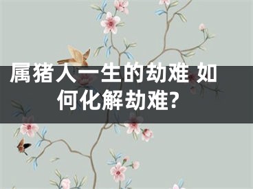 属猪人一生的劫难 如何化解劫难?