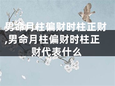 男命月柱偏财时柱正财,男命月柱偏财时柱正财代表什么