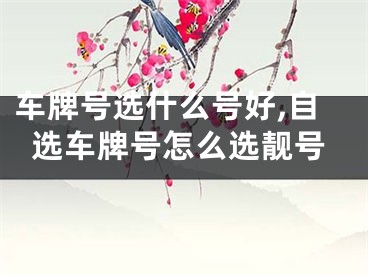车牌号选什么号好,自选车牌号怎么选靓号