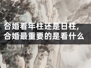 合婚看年柱还是日柱,合婚最重要的是看什么