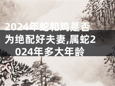 2024年蛇和鸡是否为绝配好夫妻,属蛇2024年多大年龄