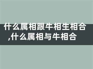 什么属相跟牛相生相合,什么属相与牛相合