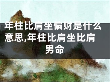 年柱比肩坐偏财是什么意思,年柱比肩坐比肩男命