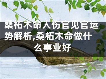 桑柘木命人伤官见官运势解析,桑柘木命做什么事业好