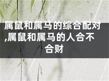 属鼠和属马的综合配对,属鼠和属马的人合不合财