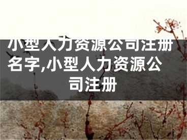 小型人力资源公司注册名字,小型人力资源公司注册