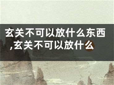 玄关不可以放什么东西,玄关不可以放什么