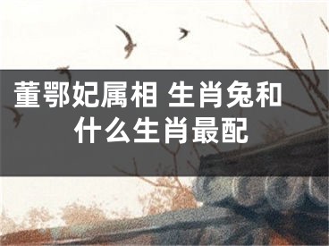 董鄂妃属相 生肖兔和什么生肖最配