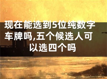 现在能选到5位纯数字车牌吗,五个候选人可以选四个吗