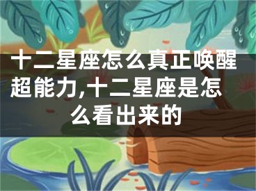 十二星座怎么真正唤醒超能力,十二星座是怎么看出来的