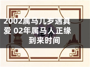 2002属马几岁遇真爱 02年属马人正缘到来时间