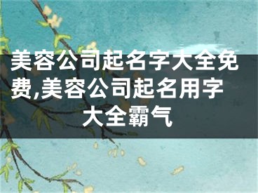 美容公司起名字大全免费,美容公司起名用字大全霸气