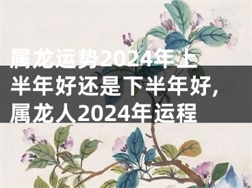 属龙运势2024年上半年好还是下半年好,属龙人2024年运程