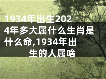 1934年出生2024年多大属什么生肖是什么命,1934年出生的人属啥