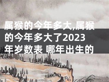 属猴的今年多大,属猴的今年多大了2023年岁数表 哪年出生的